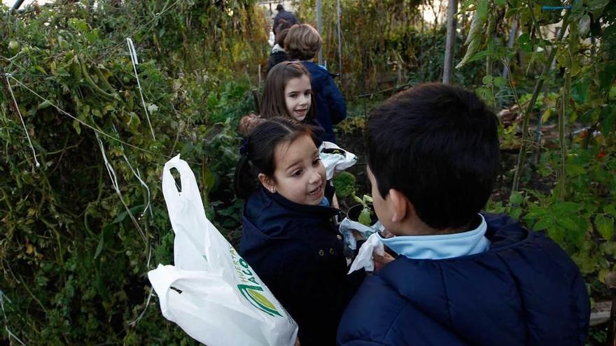 Los alumnos de Primaria del Amor de Dios, ayer, en el huerto de Asturias Acoge.