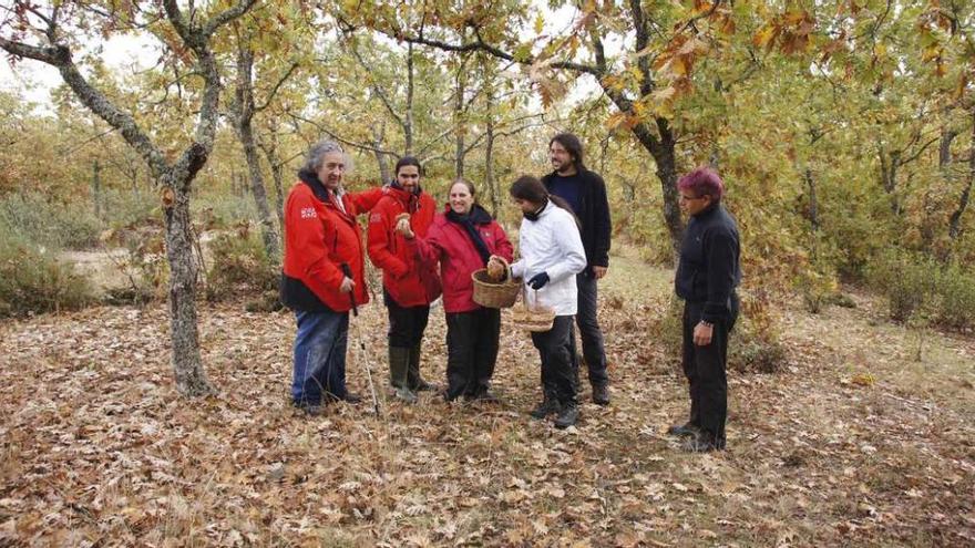 La normativa prohíbe rastrillar montes en busca de setas y recogerlas de noche