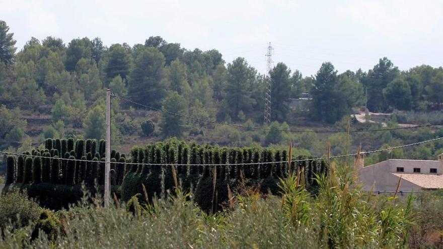 Un &#039;paranyer&#039; de l´Alcora amenaza con una escopeta a dos agentes ambientales