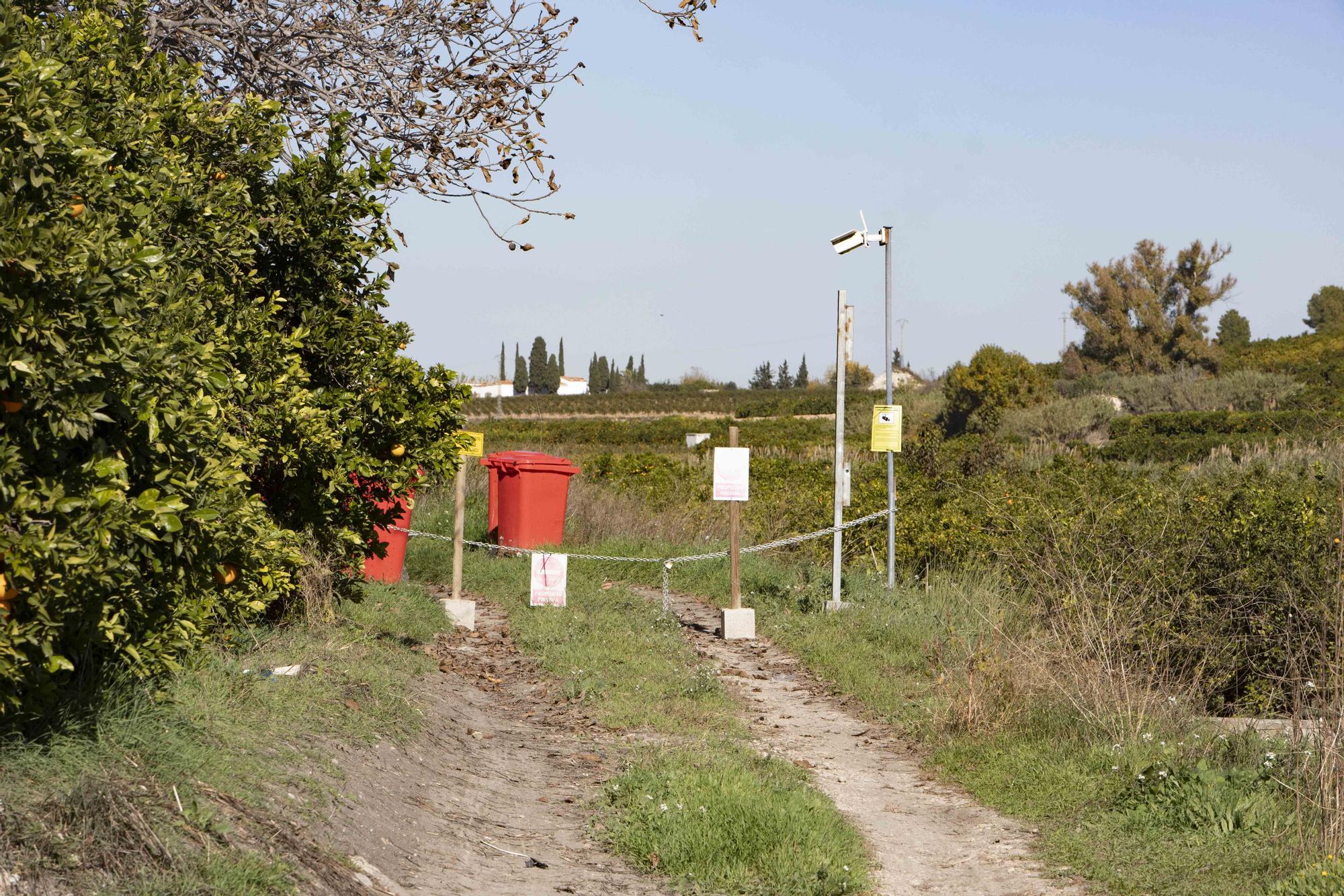 Ordenan la clausura de un santuario animal en Xàtiva