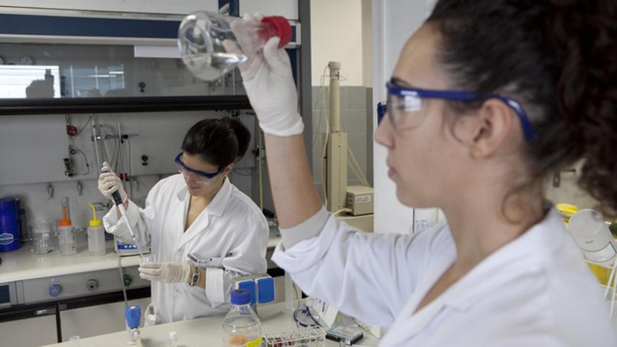 Imagen de un laboratorio del Consejo Superior de Investigaciones Científicas (CSIC).