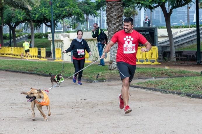 La Doggie Race, vista por José Fco. Fernández Belda
