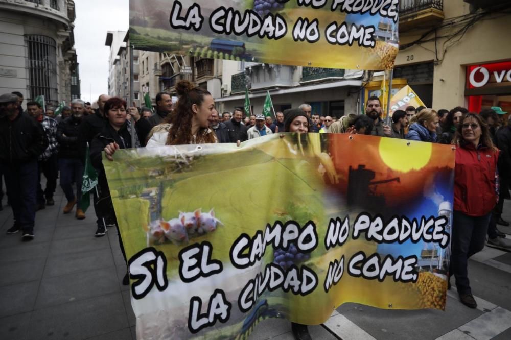 Tractorada en Zamora para pedir dignidad para el campo