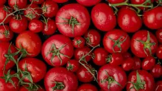 Esta es la razón científicamente probada por la que deberías comer un tomate todos los días