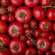 ¿Por qué deberías comer un tomate todos los días?