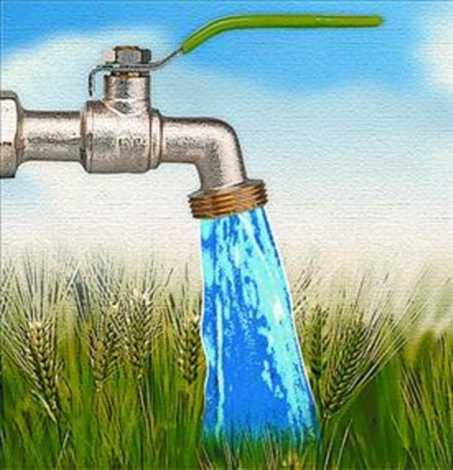 Agua, PIB y agricultura_MEDIA_2