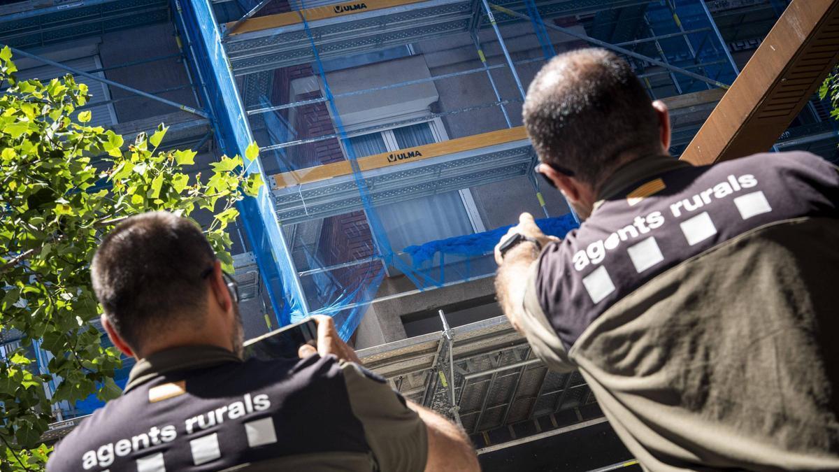 Els Agents Rurals analitzant la façana de Manresa on hi ha la bastida