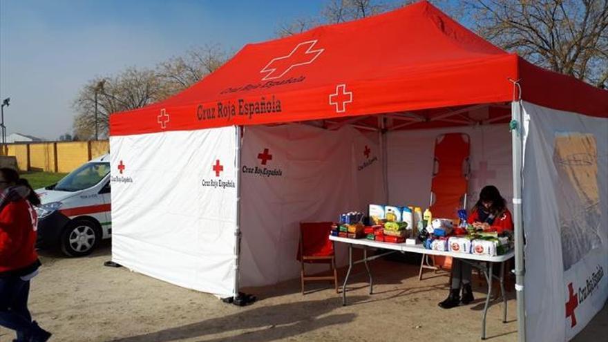Cruz Roja recoge cinco cajas de alimentos y productos de higiene
