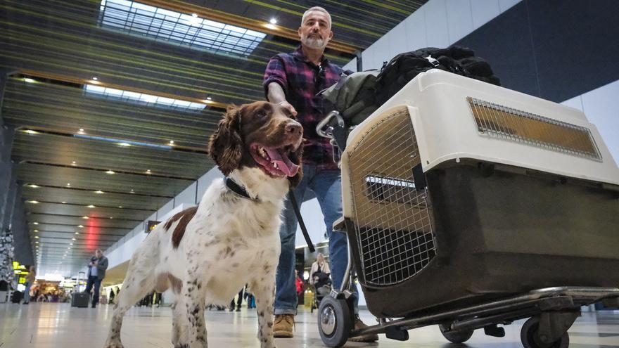 Díaz y Rony, el binomio policial canario experto en buscar restos humanos