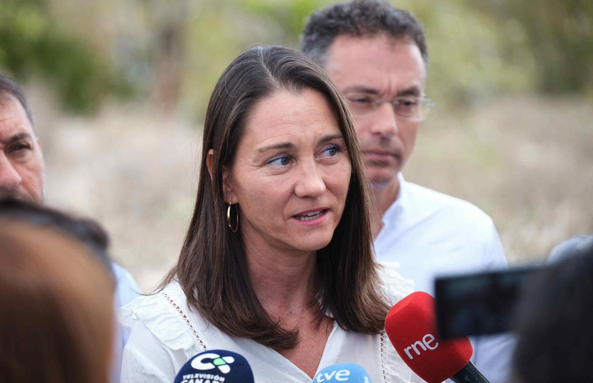 Recuperación ambiental en el Parque de Las Mesas