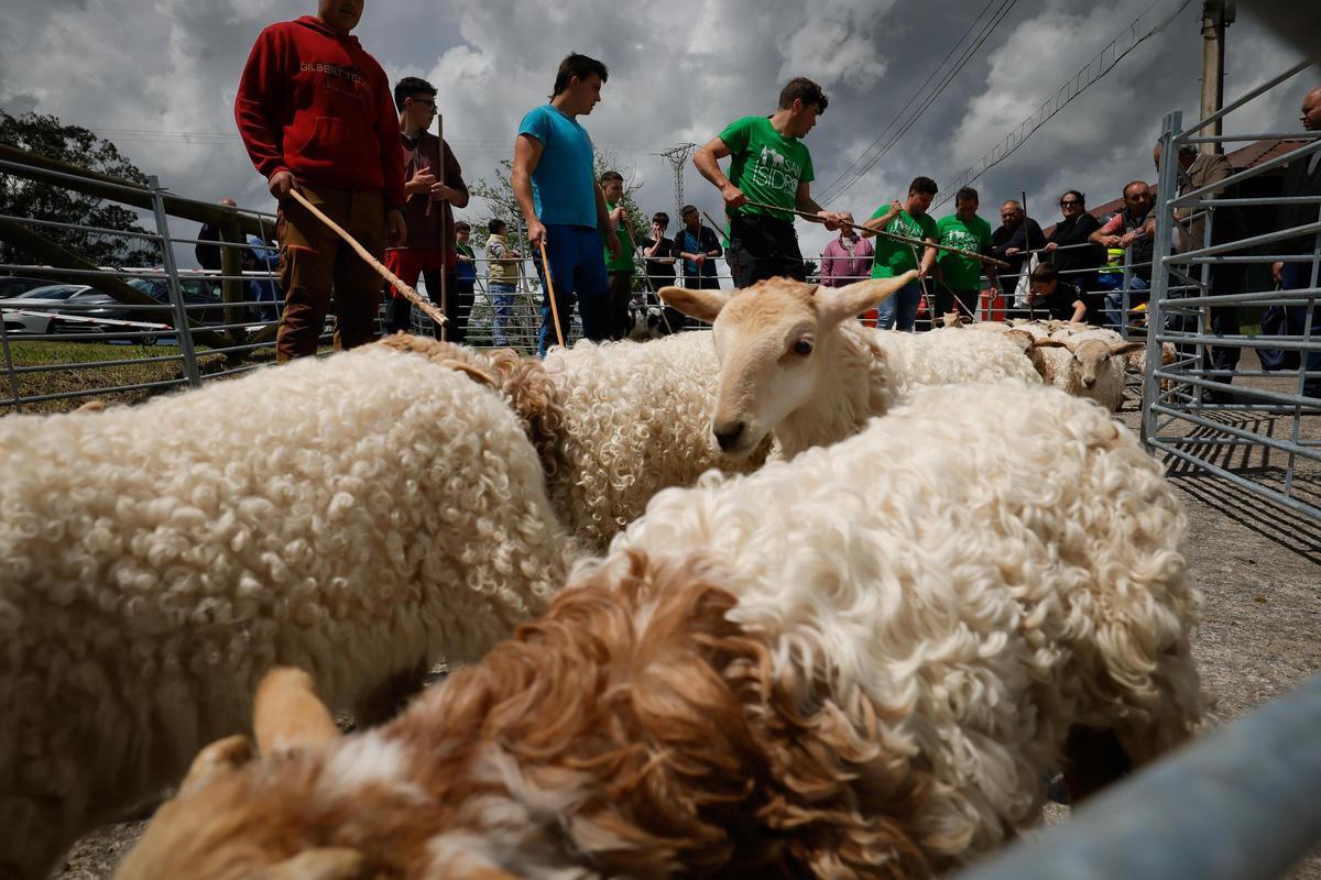La feria de San Isidro, en imágenes