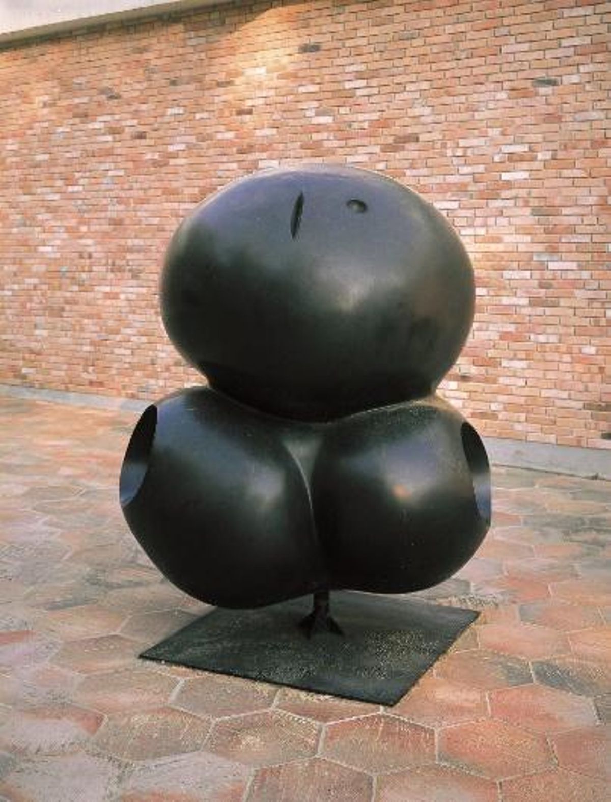 Torse (Torso)