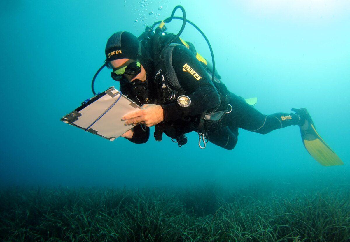 Posimed: la red de seguimiento de la posidonia más grande de España