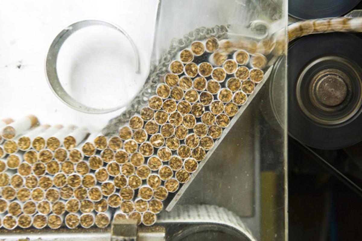 Cigarrets en la línia de producció de la planta de l’única marca tabaquera hongaresa que s’ha mantingut després de la caiguda del sistema comunista.