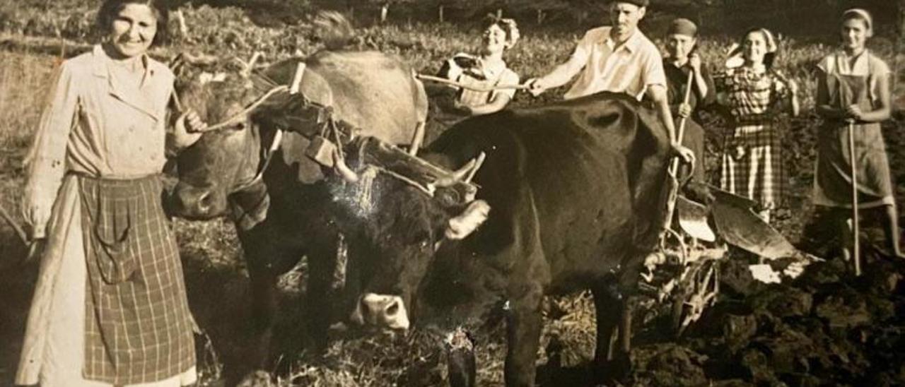 Vecinos realizando trabajos de agricultura en Goián.