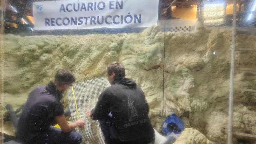 Las  labores de reconstrucción del acuario se usan como exposición.