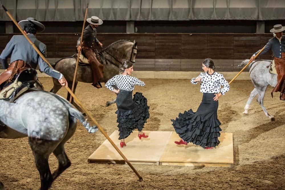 Así bailan los caballos cordobeses en Eslovenia