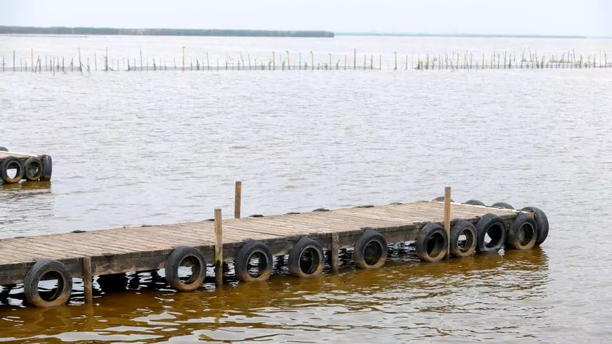 La Albufera se tiñe de nuevo de marrón