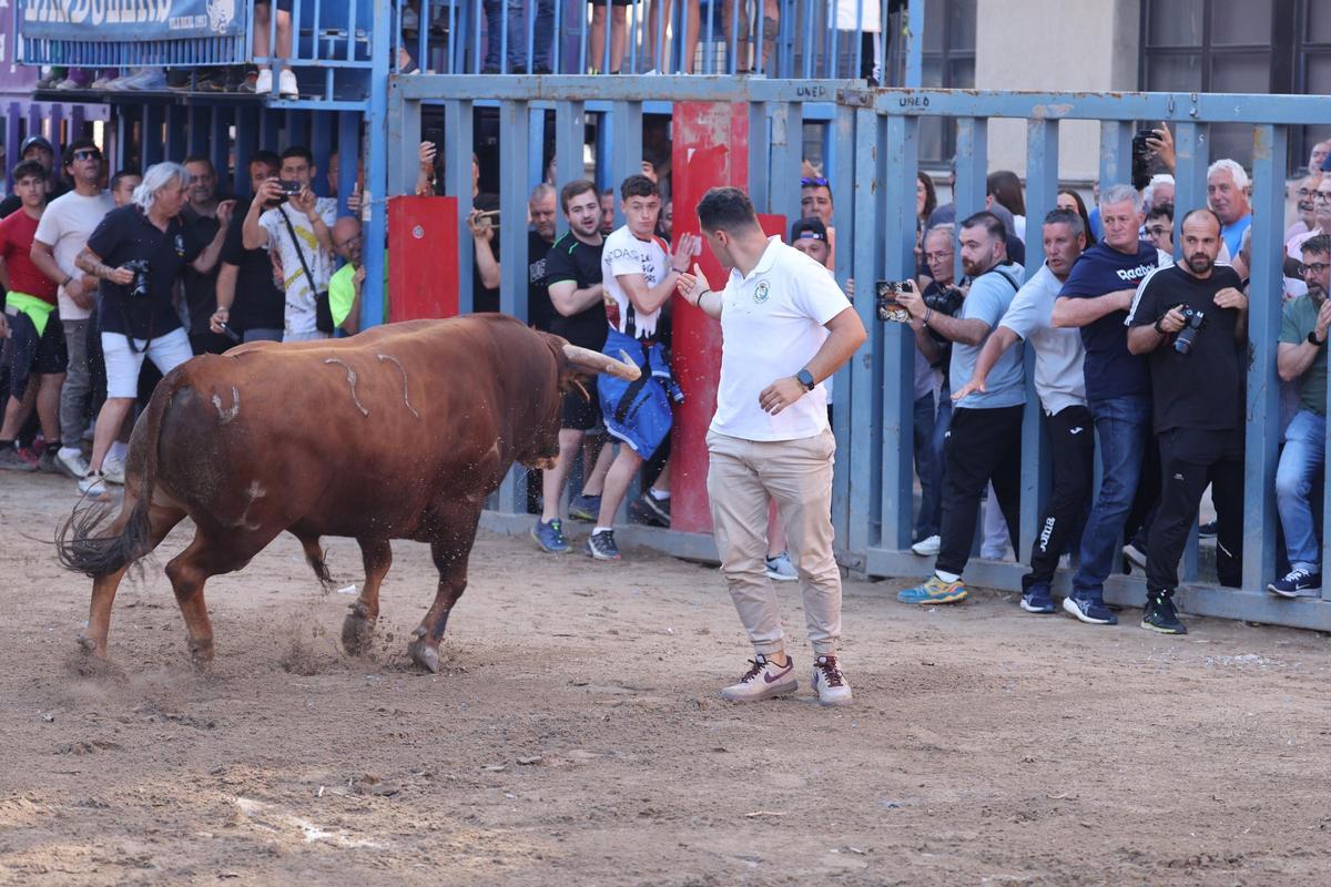 Fotogalería I Las imágenes de la tercera jornada de 'bou al carrer' de las fiestas de Sant Pasqual en Vila-real