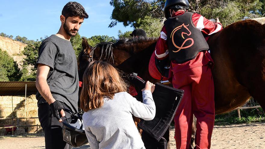 Terapia con caballos para ayudar a los menores víctimas de violencia intrafamiliar