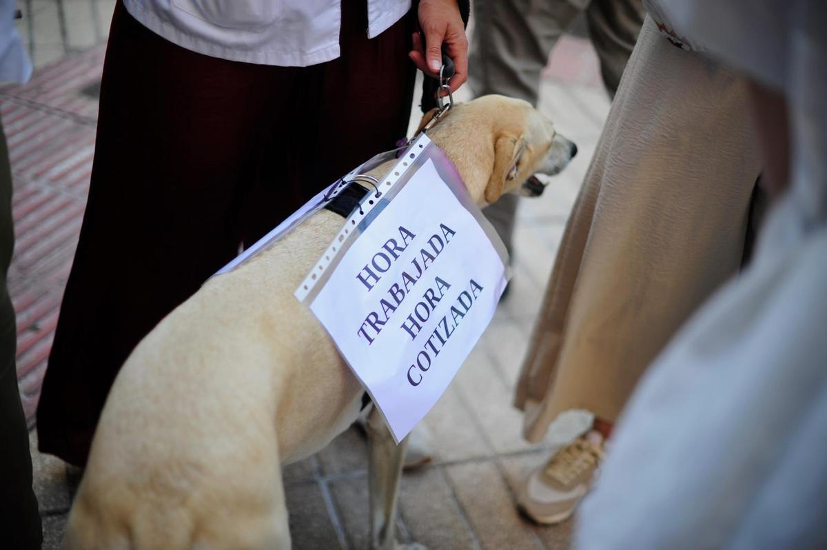 Fotogalería | Cientos de médicos marchan en Badajoz contra el Estatuto Marco y exigen dignificar sus condiciones laborales