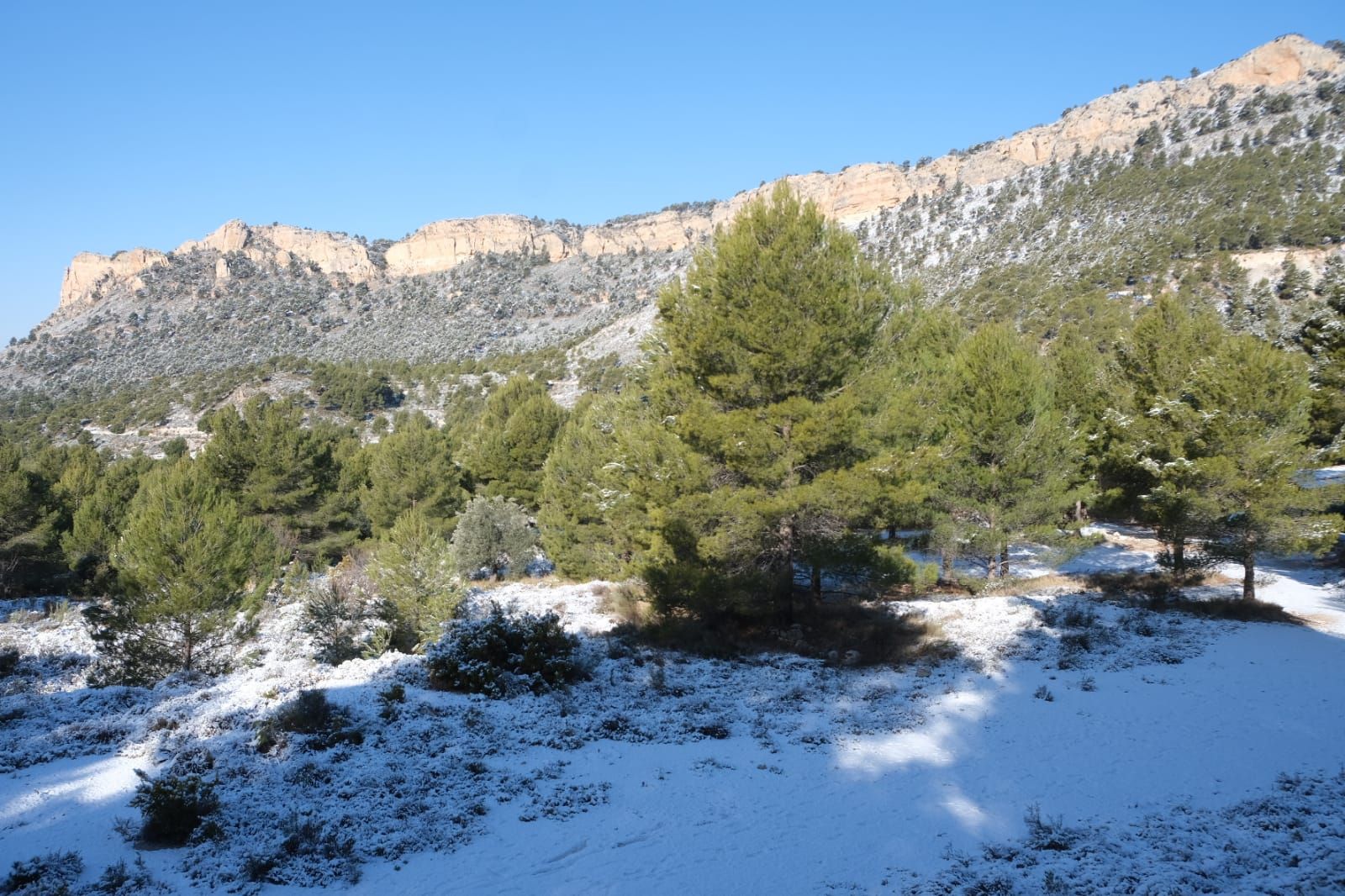 La nieve cubre de blanco el Xorret de Catí