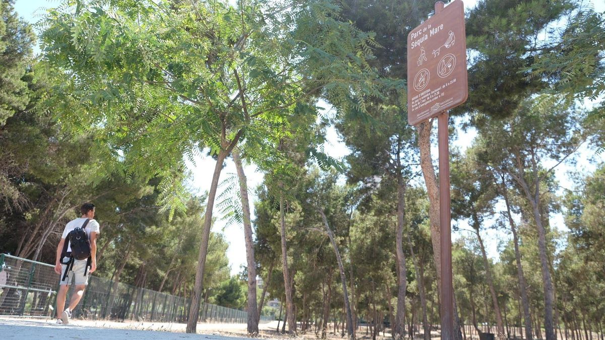 Imagen de un senderista en una zona verde de Benidorm.
