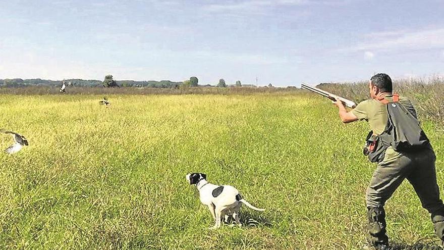 El XLII Provincial de caza menor con perro, mañana