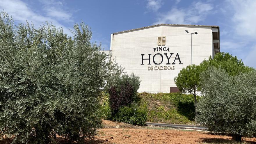 Finca Hoya de Cadenas, el enoturismo hecho arte