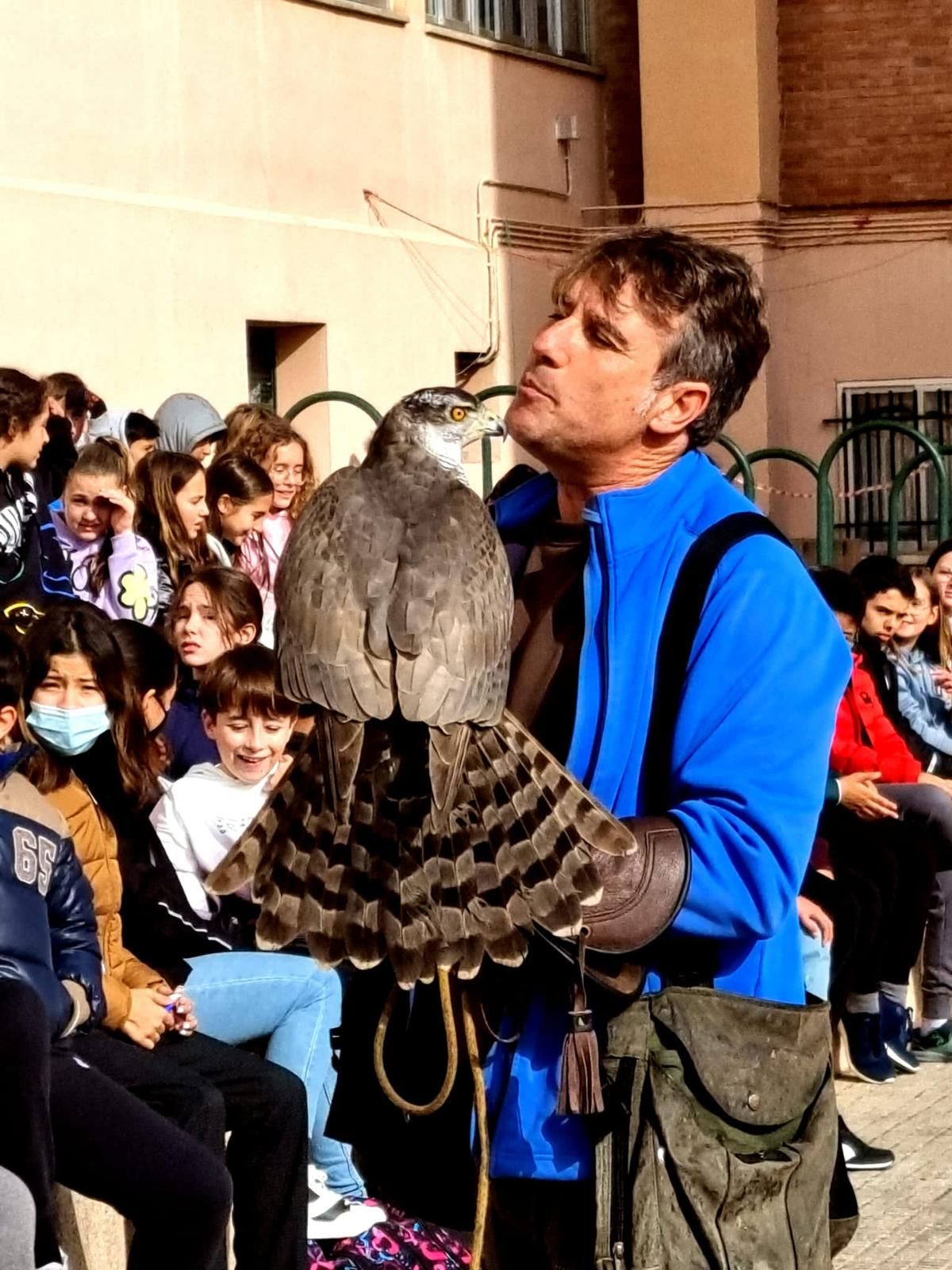 Cetrería en el IES María de Molina