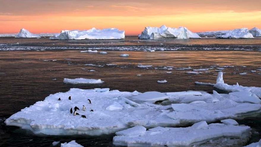 La Antártida se está convirtiendo en laboratorio del cambio climático.