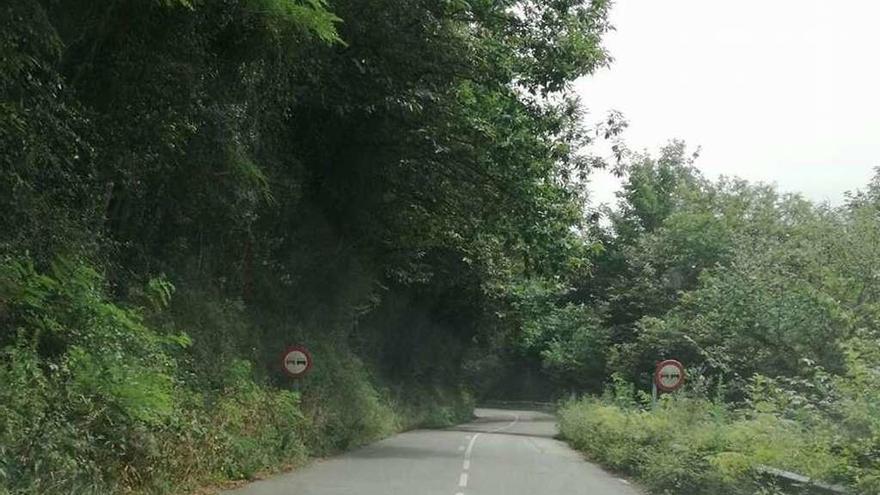 Estado de un tramo de la carretera que va de Veguín a San Esteban.