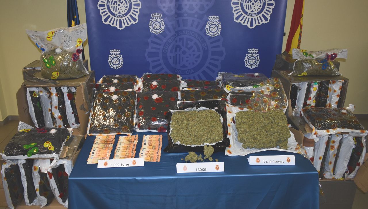La Policía desarticula la mayor banda china de producción de marihuana en Gijón