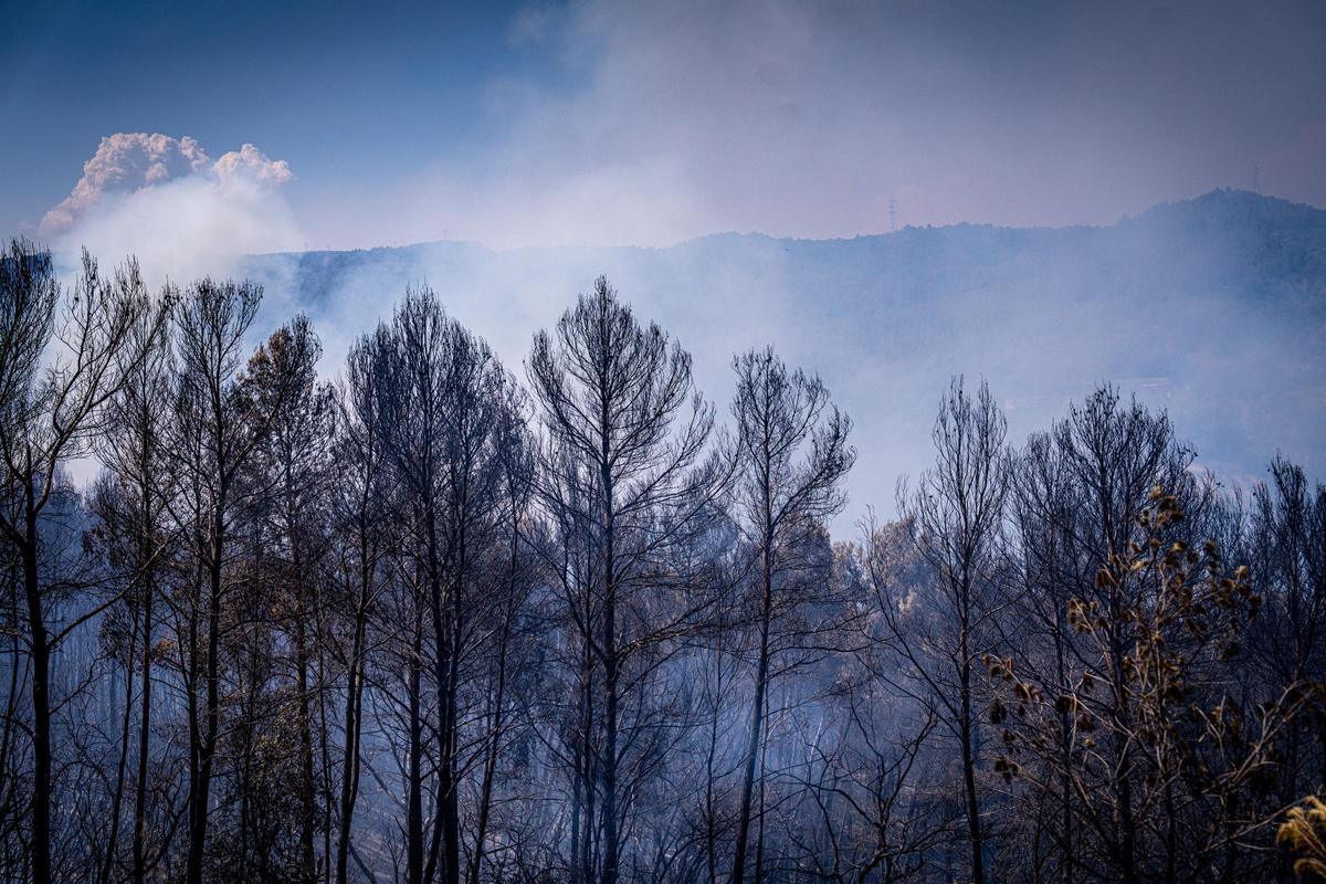 Los Bombers confían en perimetrar pronto el incendio forestal en Gavà que ha obligado a confinar a 6.000 personas