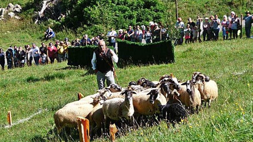 Instant del certamen de l&#039;any passat, a Castellar de n&#039;Hug