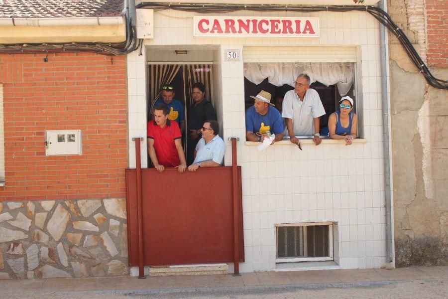 Fiestas en Zamora: Encierro y toros en Villamor