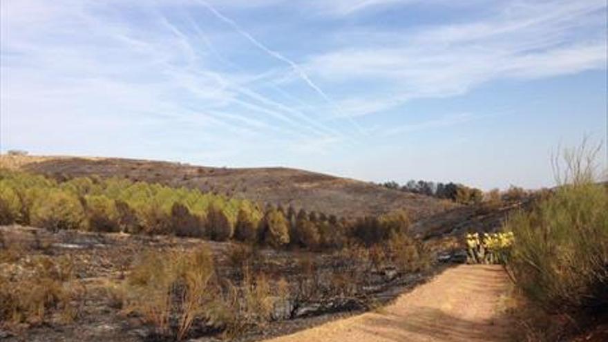 Un incendio arrasa más de 20 hectáreas de bosque