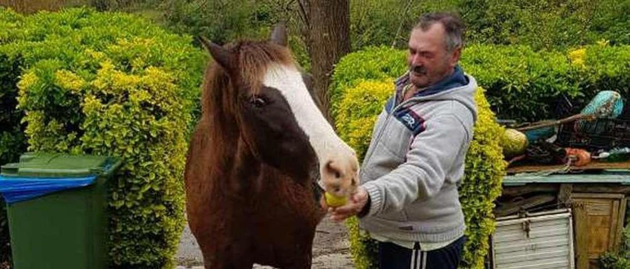 Pepe de Miro ayer en su casa en Ons, dando de comer una manzana a su caballo &quot;Careta&quot;.