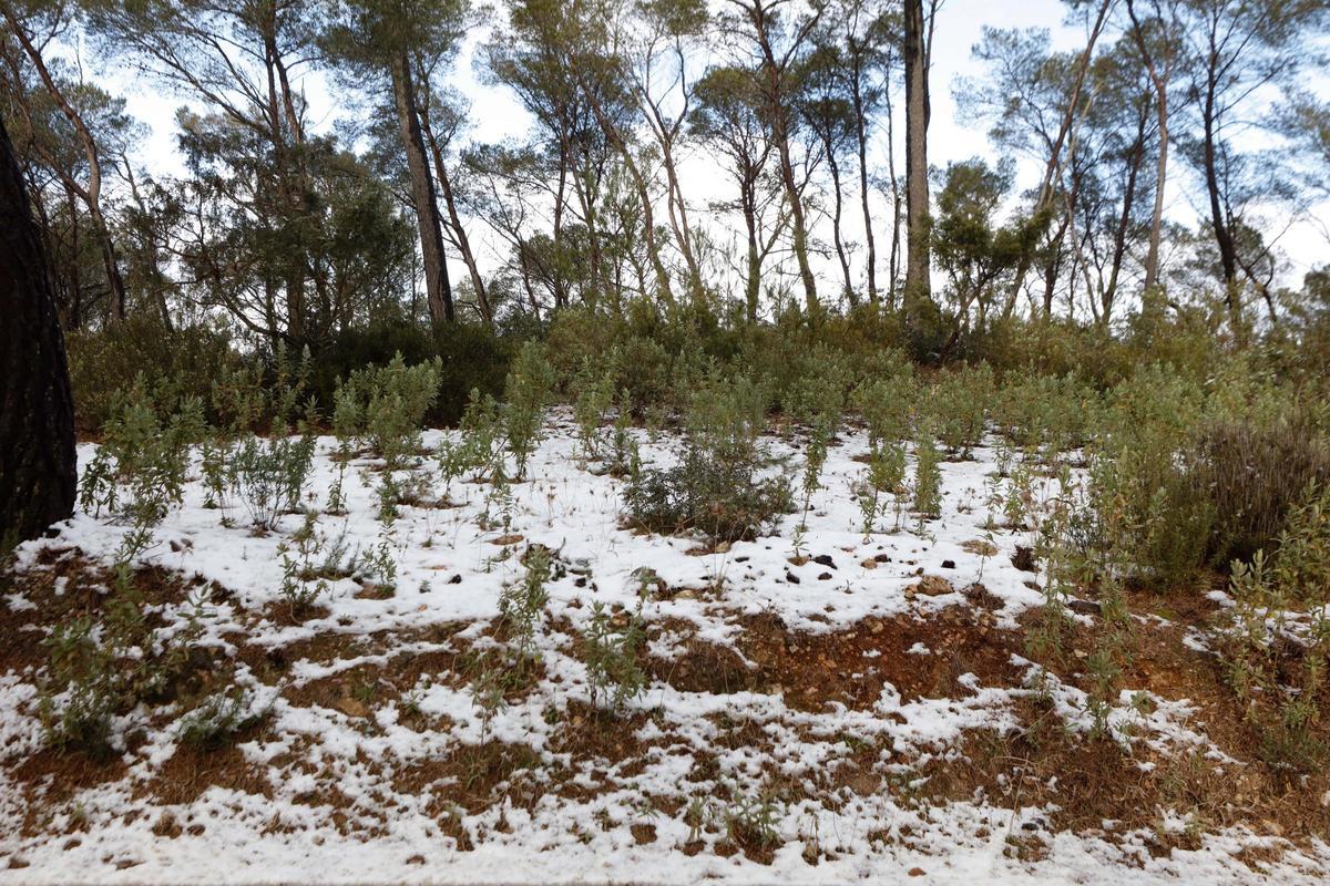 Granizo en la Talaia