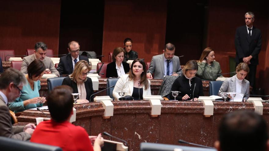 La presentación de los presupuestos de la Consejería de Educación y Cultura fue ayer en la Asamblea.