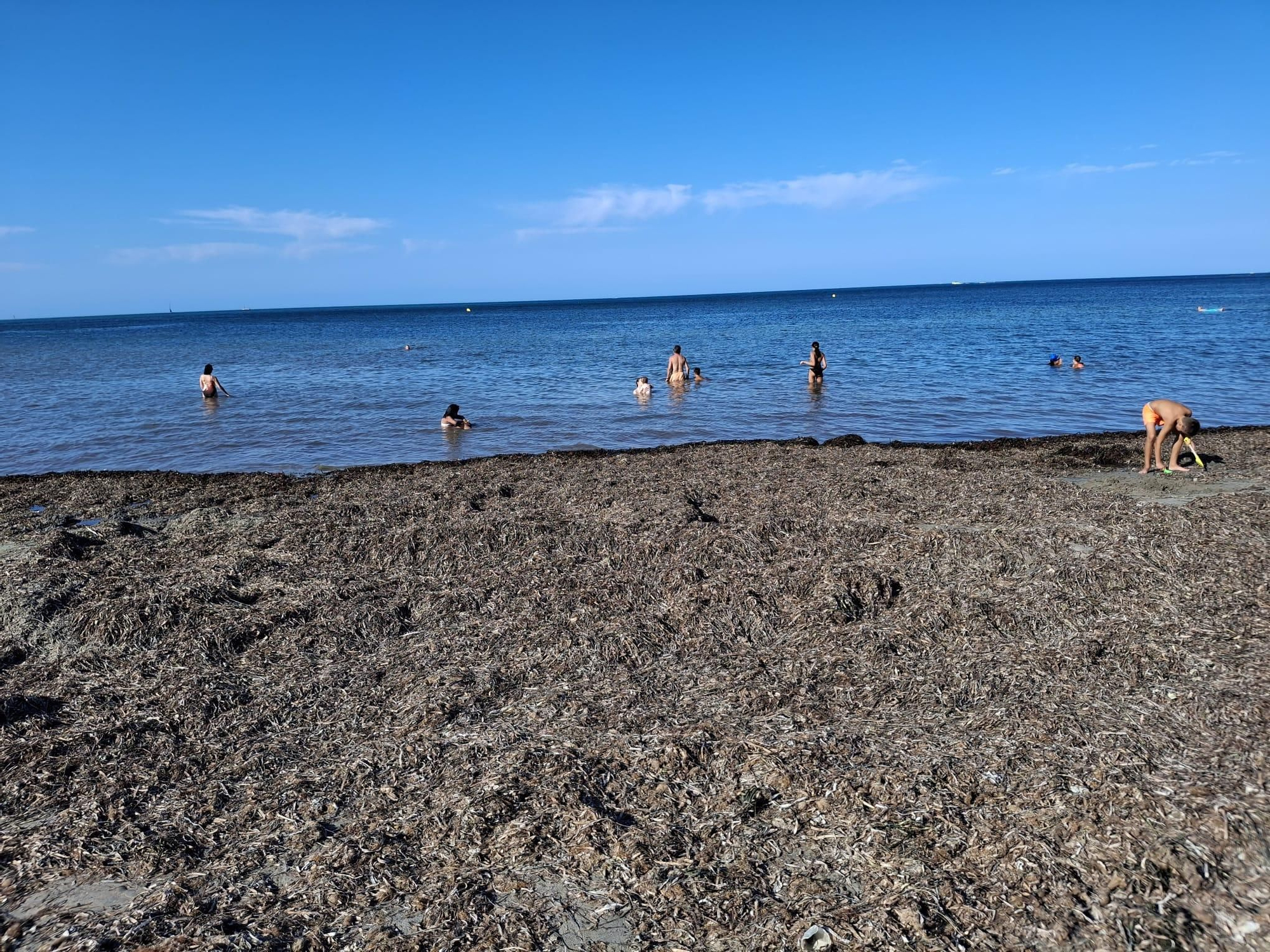 ¡Esto es vida!: manto de posidonia, aguas cristalinas y paz absoluta en la Marineta Cassiana de Dénia