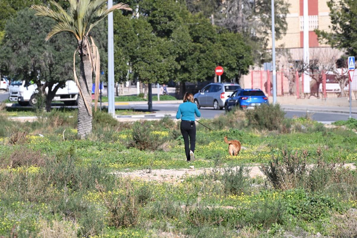 En algunas zonas del barrio el transeúnte podría decir que está en pleno campo
