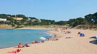 Europa demana que es prohibeixi el bany a una platja de l'Escala i a part de l'estany de Banyoles