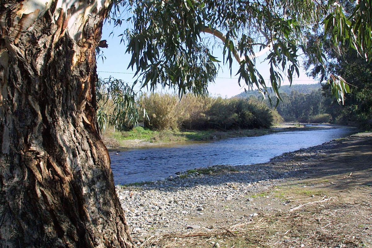 El cauce del río grande, en la zona donde se proyectó la presa de Cerro Blanco