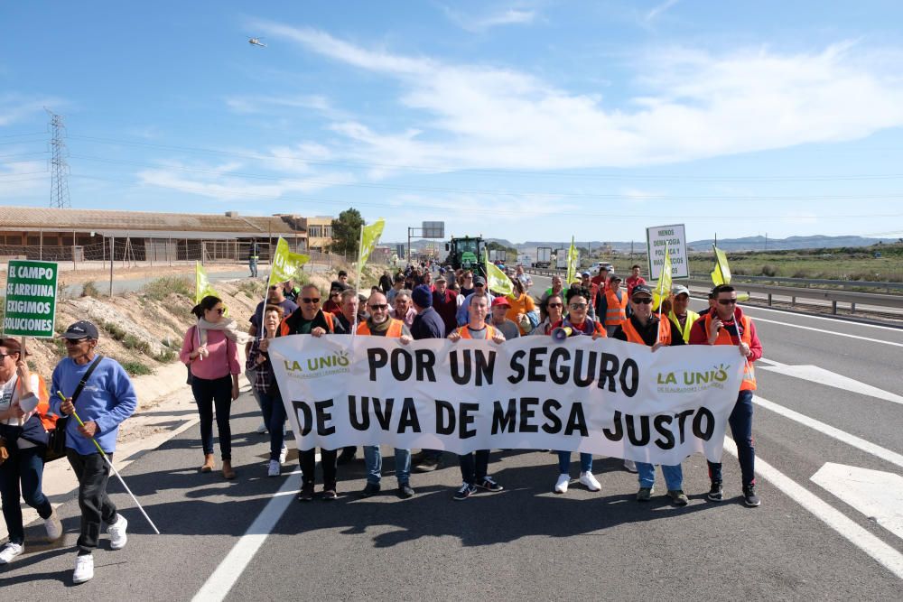 Tractorada en defensa del campo alicantino