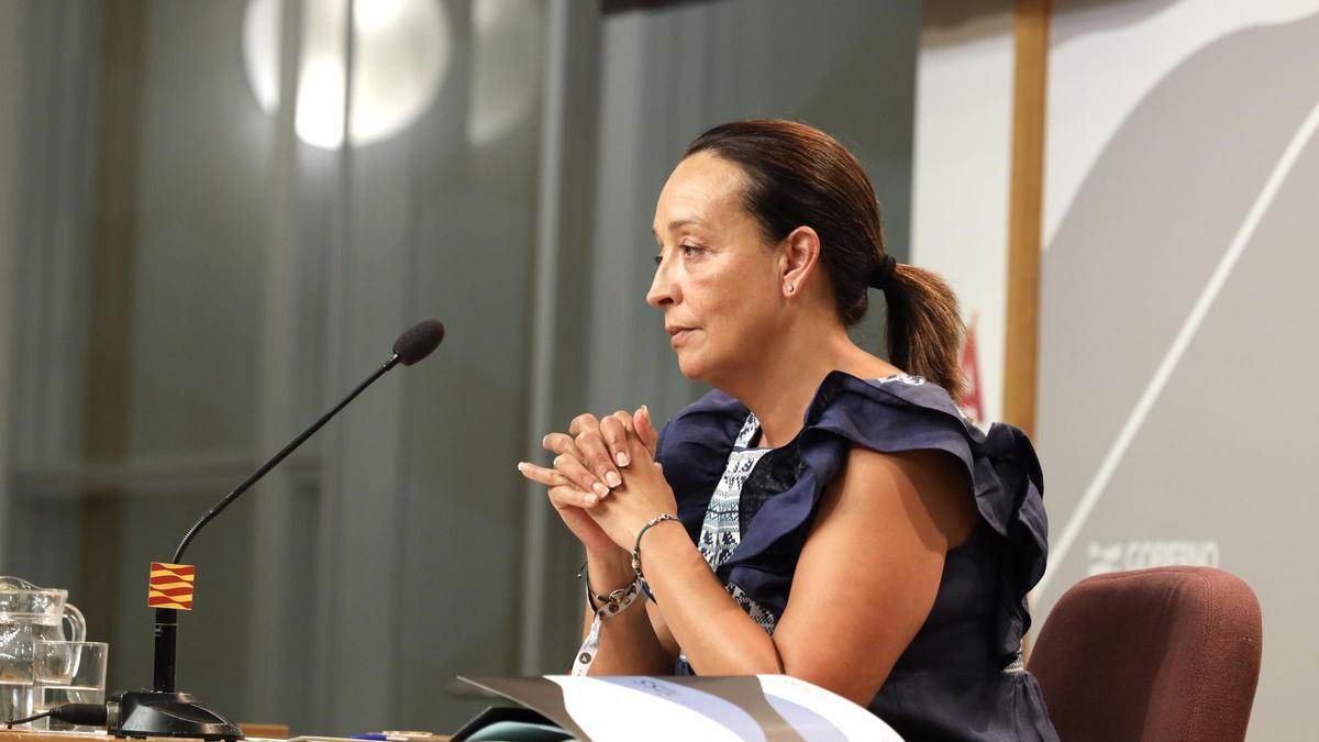 La consejera de Bienestar Social y Familia, Carmen Susín, durante su comparecencia de la semana pasada.