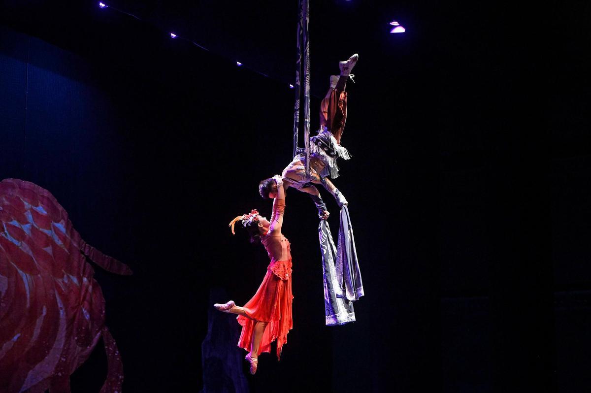 Así se vive el circo desde dentro