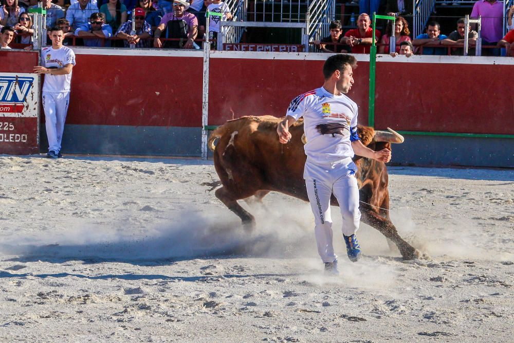 El concurso de recortadores vuelve tras 30 años de ausencia