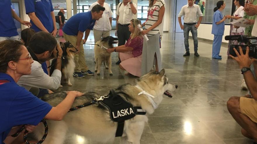 La consellera, saluda a un perro