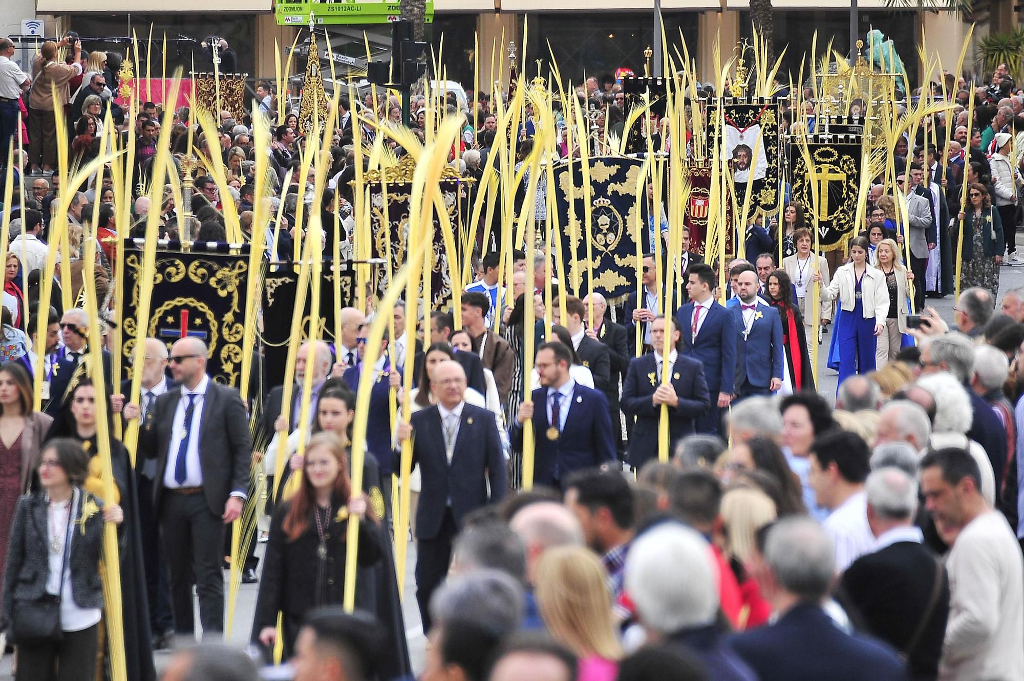 Miles de palmas blancas llenan Elche de tradición